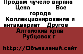 Продам чучело варана. › Цена ­ 15 000 - Все города Коллекционирование и антиквариат » Другое   . Алтайский край,Рубцовск г.